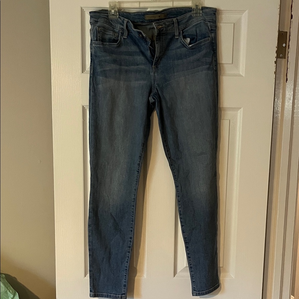 Joe's Jeans Women's Skinny Denim